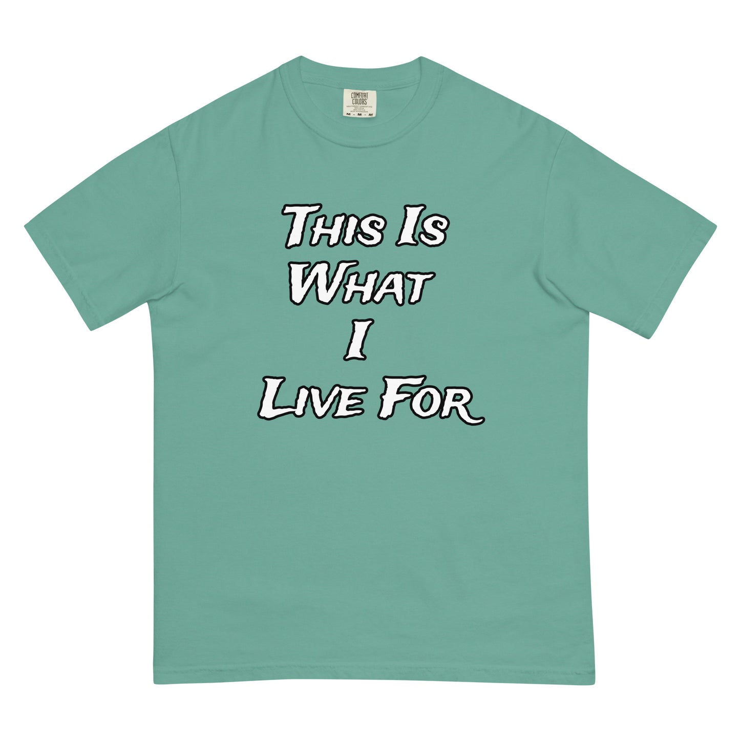 This is What I Live For heavyweight t-shirt